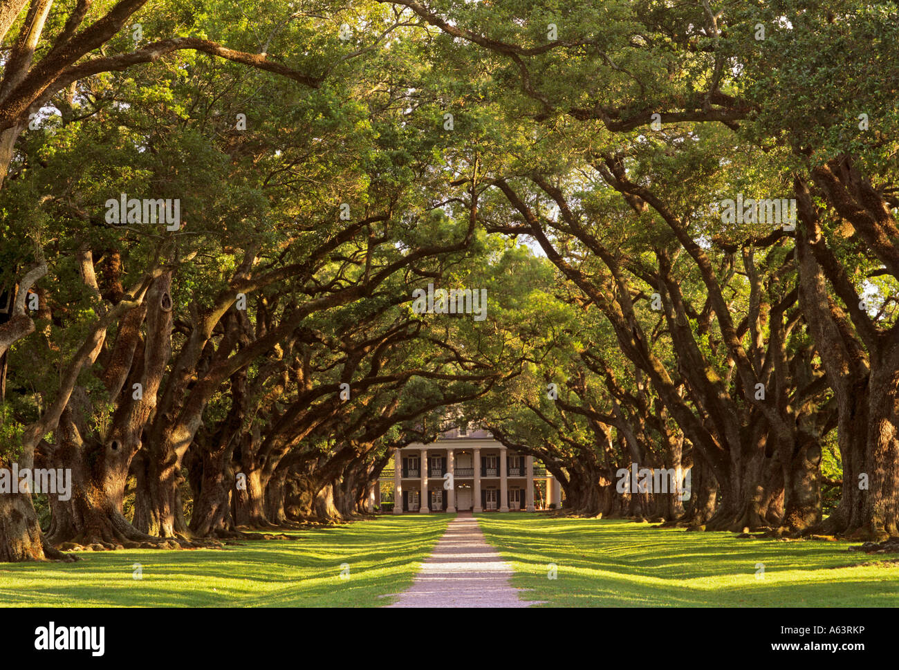 Oak Alley Plantation House Louisiana USA Stock Photo - Alamy