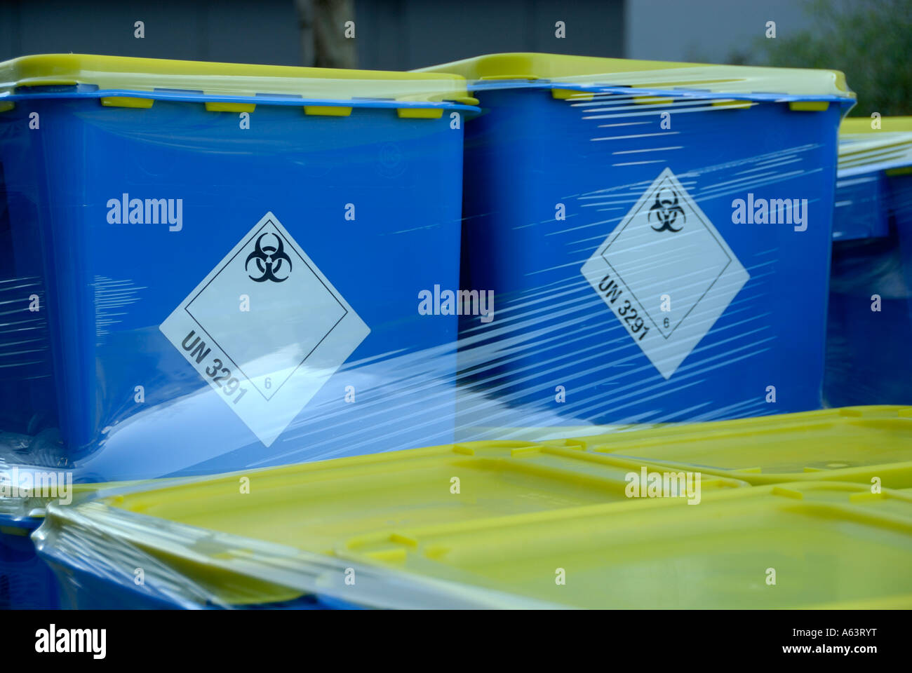 biohazard sign on blue container. Stock Photo
