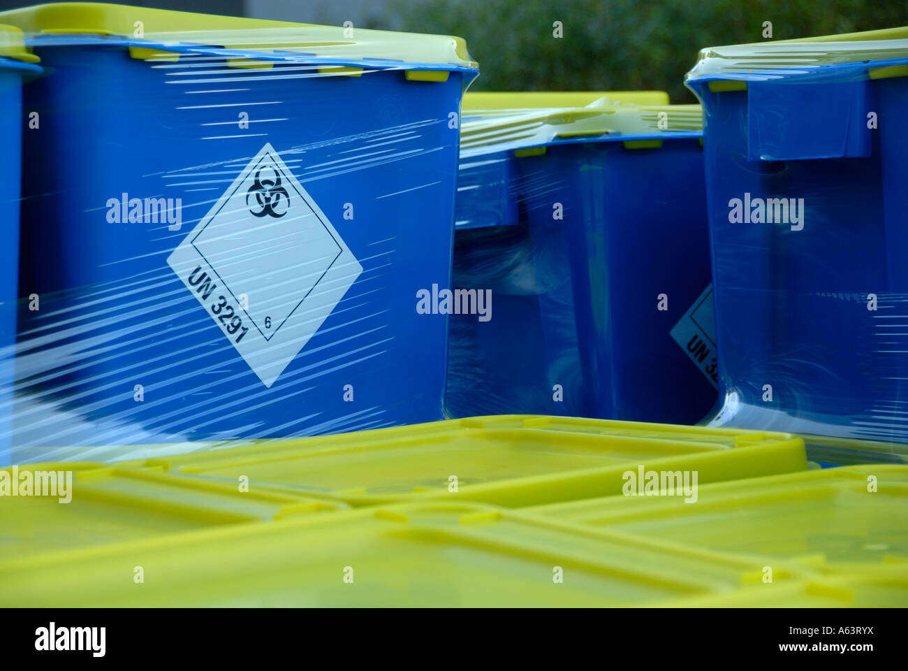biohazard sign on blue containers. Stock Photo