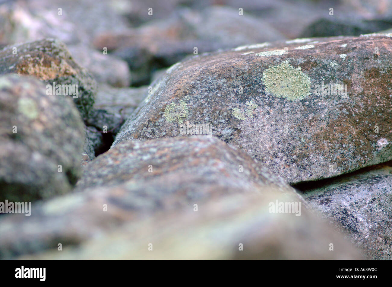 stone rock wall rocks stones moss lichen Stock Photo - Alamy