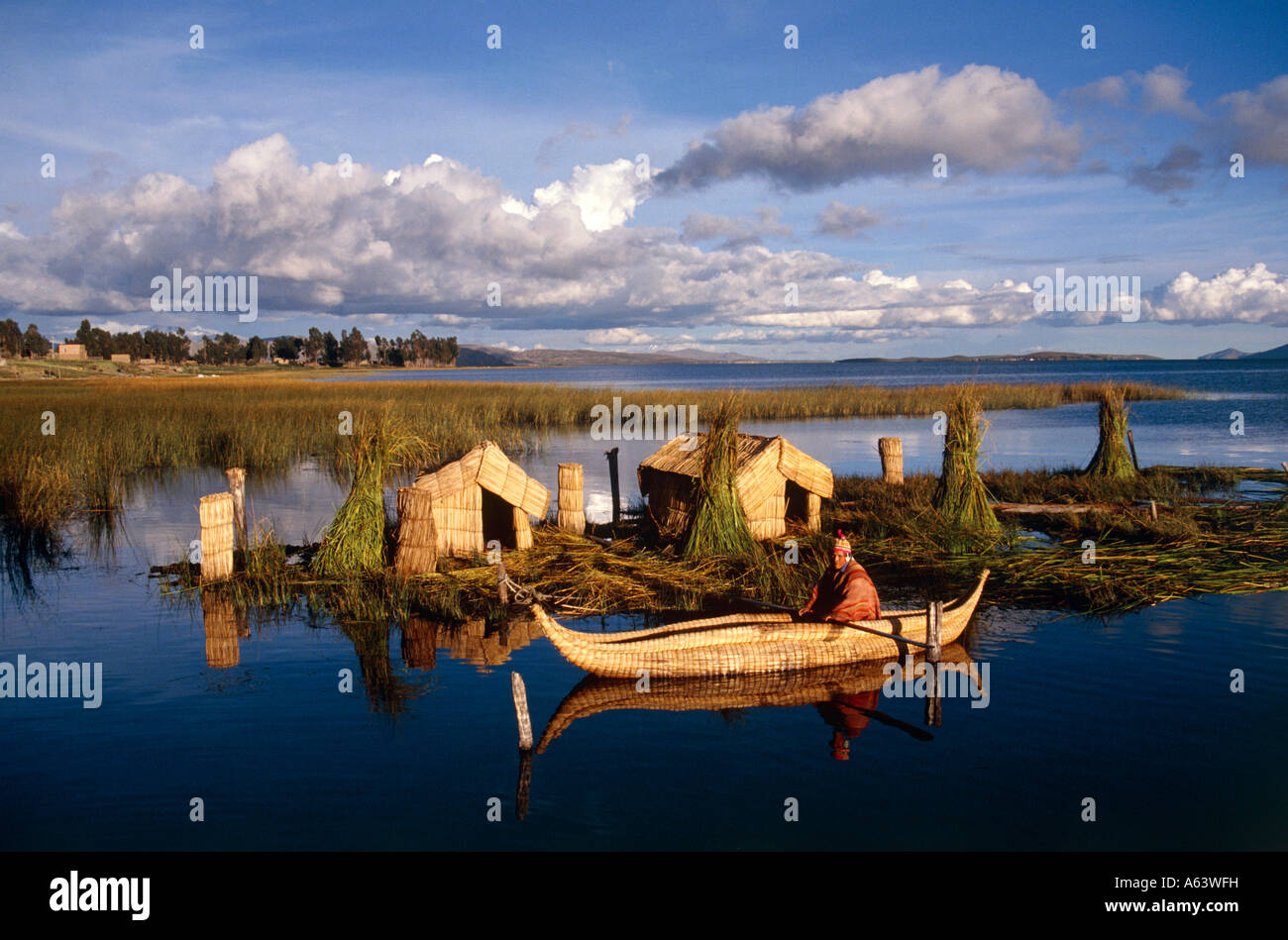 man of uros tribe riding totora reed boat at evening floating island ...