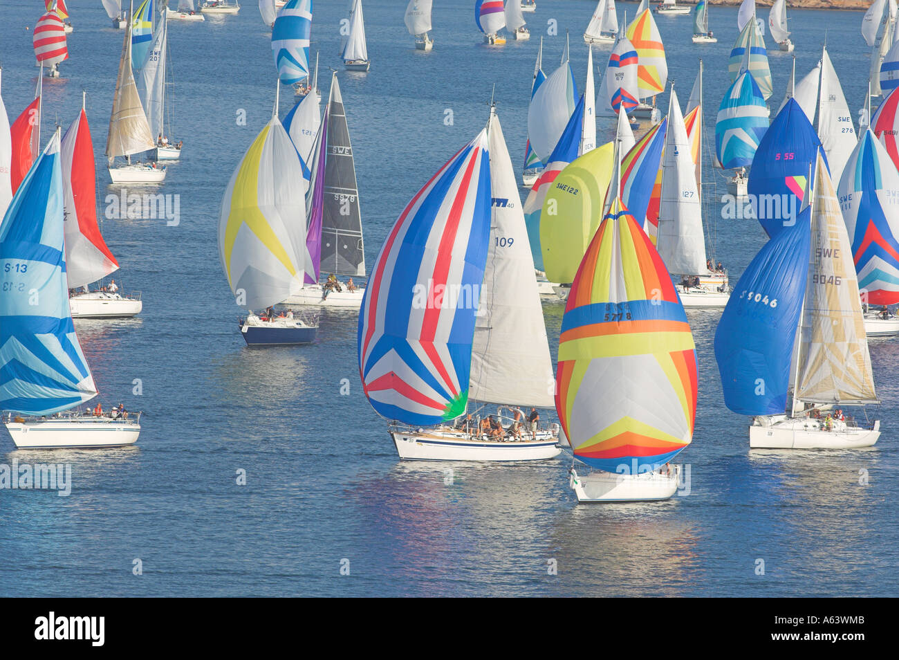 Sailing boat competition . Tjörn, Bohuslän , Sweden Stock Photo - Alamy