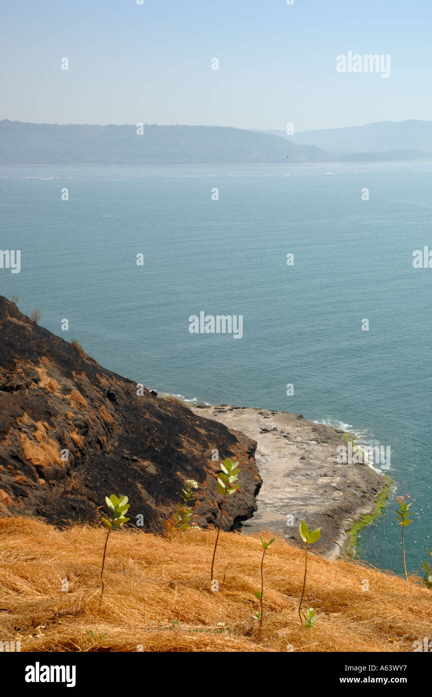 View of Arabian sea Konkan coast Maharashtra West India Stock Photo Alamy
