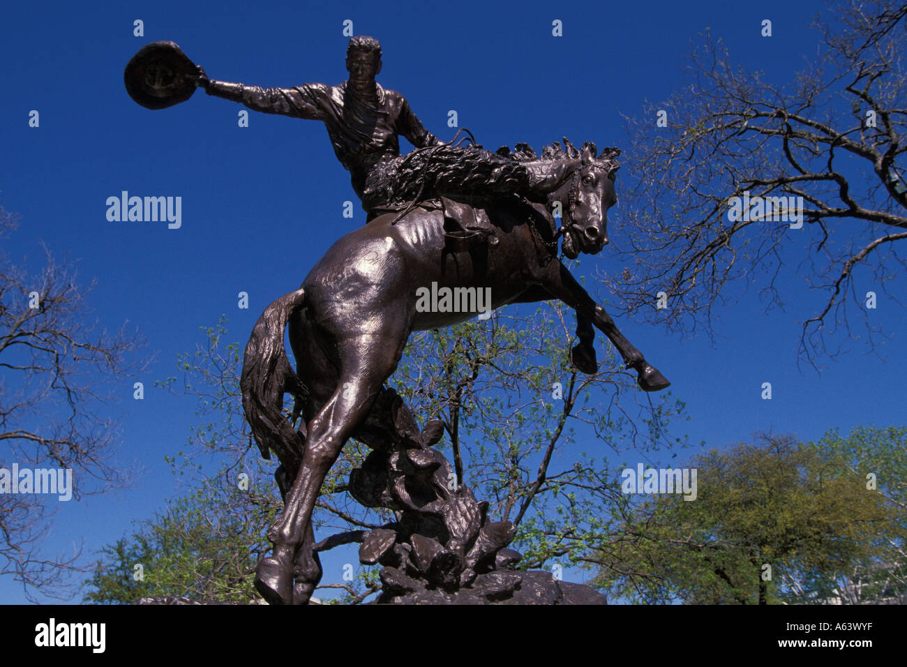 Roosevelt Rough Rider Statue on the Texas State Capitol Grounds Austin Texas Stock Photo