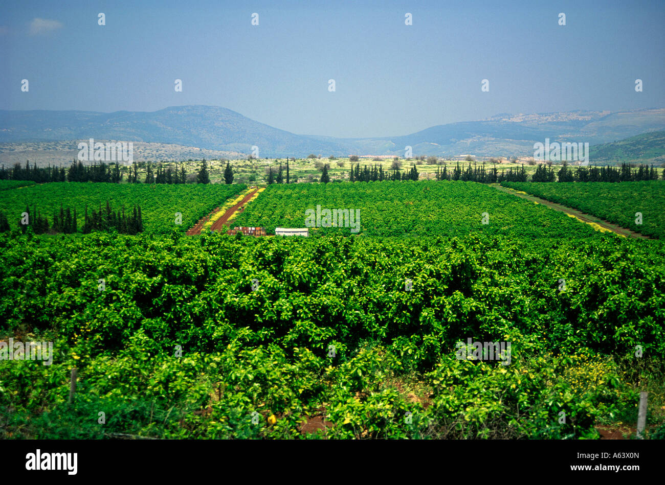 Kultur israel hi-res stock photography and images - Alamy