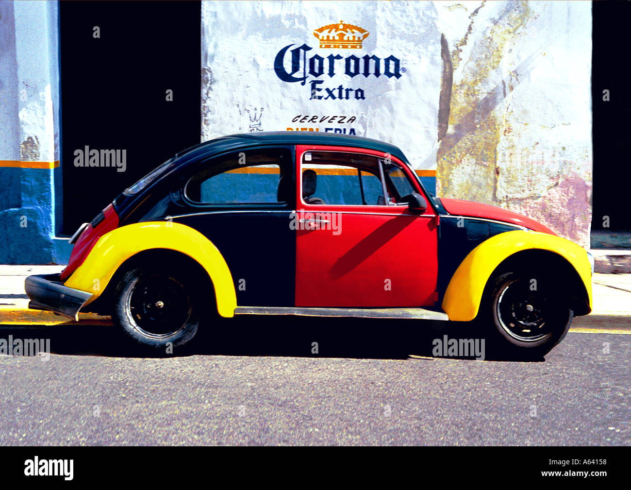 Mexican Beetle Oaxaca Stock Photo
