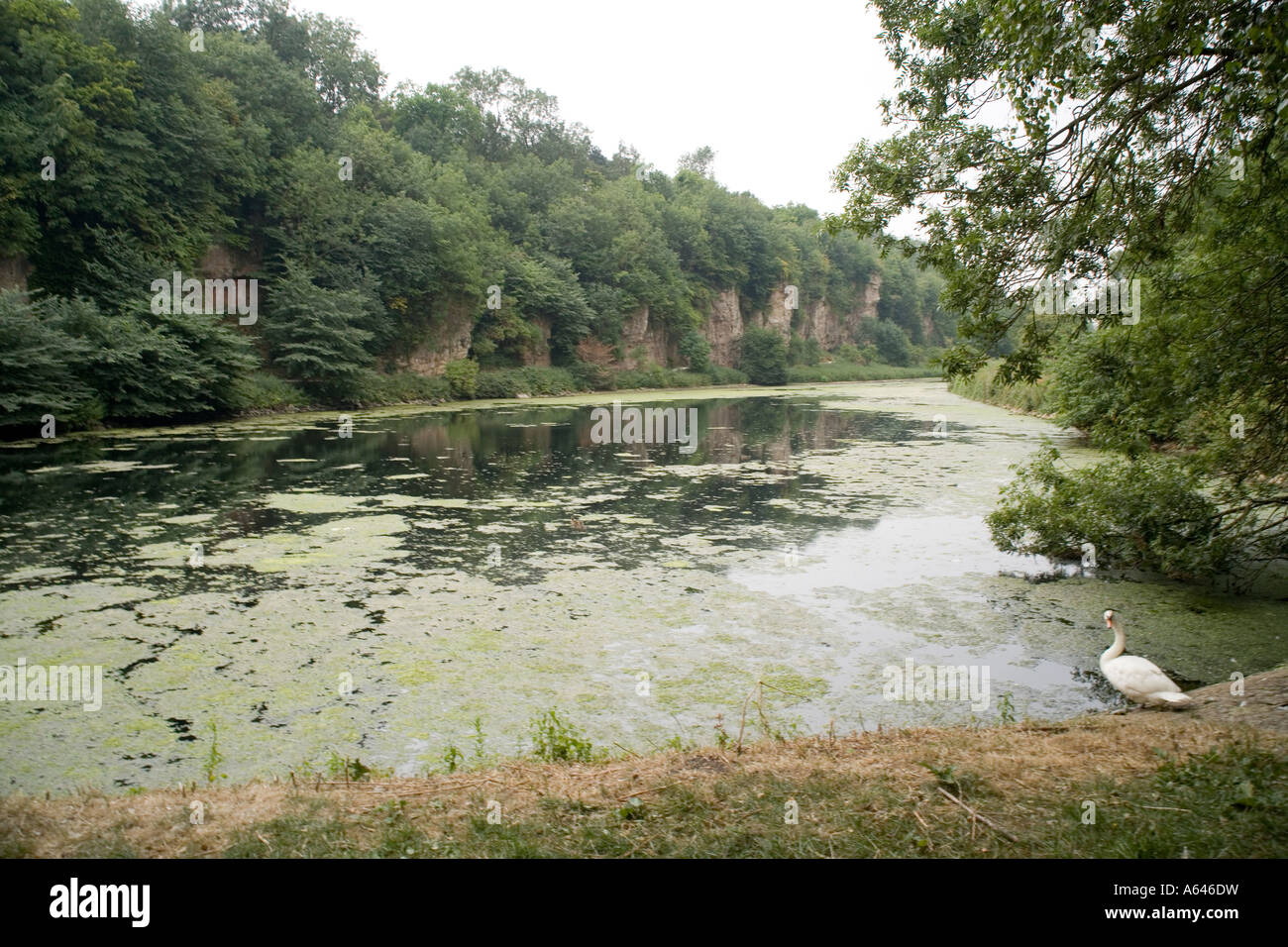 Creswell Crags Derbyshire England Stock Photo 11454852 Alamy