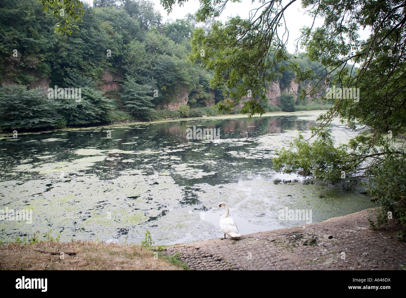 Creswell Crags, Derbyshire, England Stock Photo