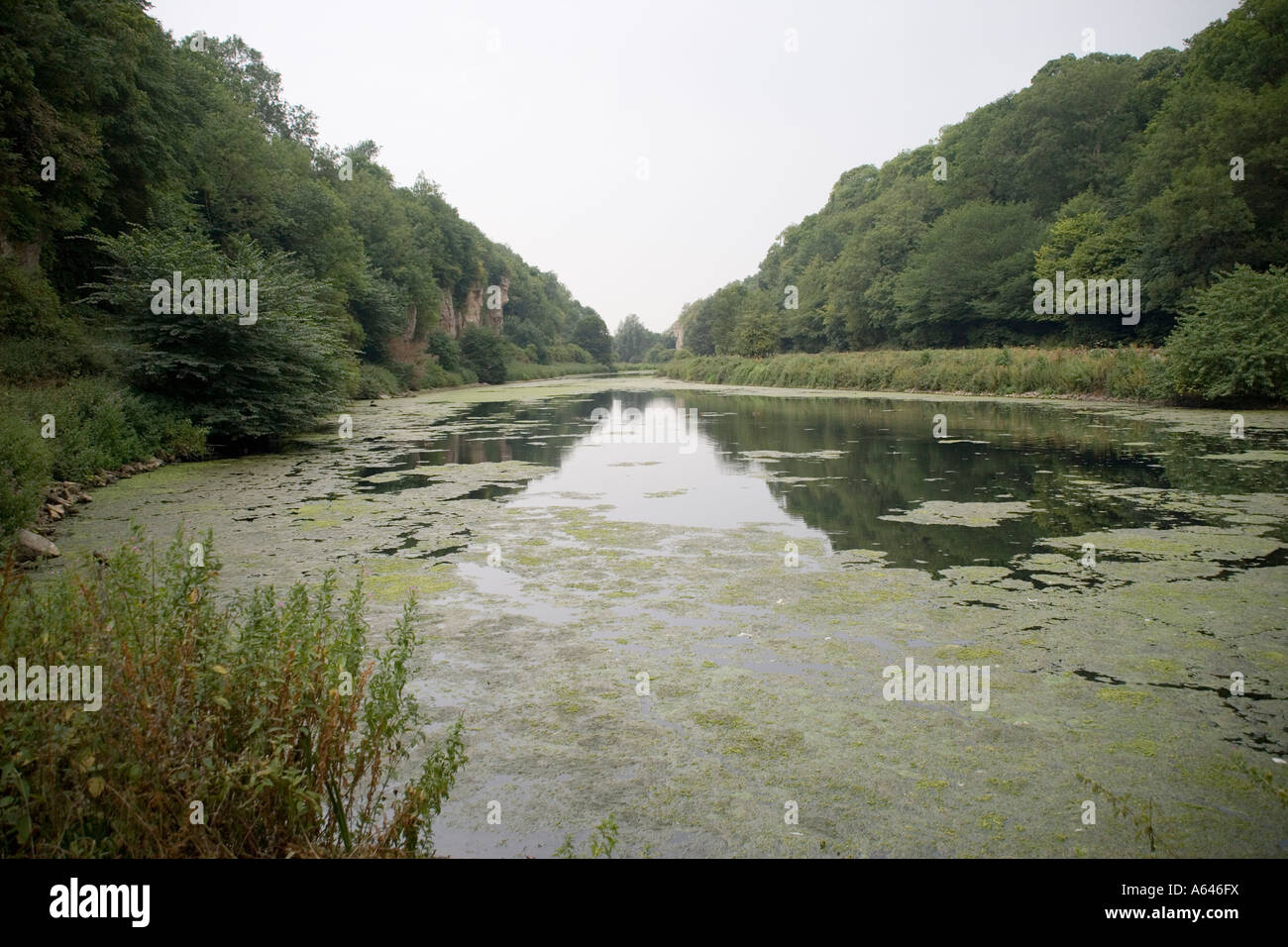 Creswell Crags, Derbyshire, England Stock Photo Alamy