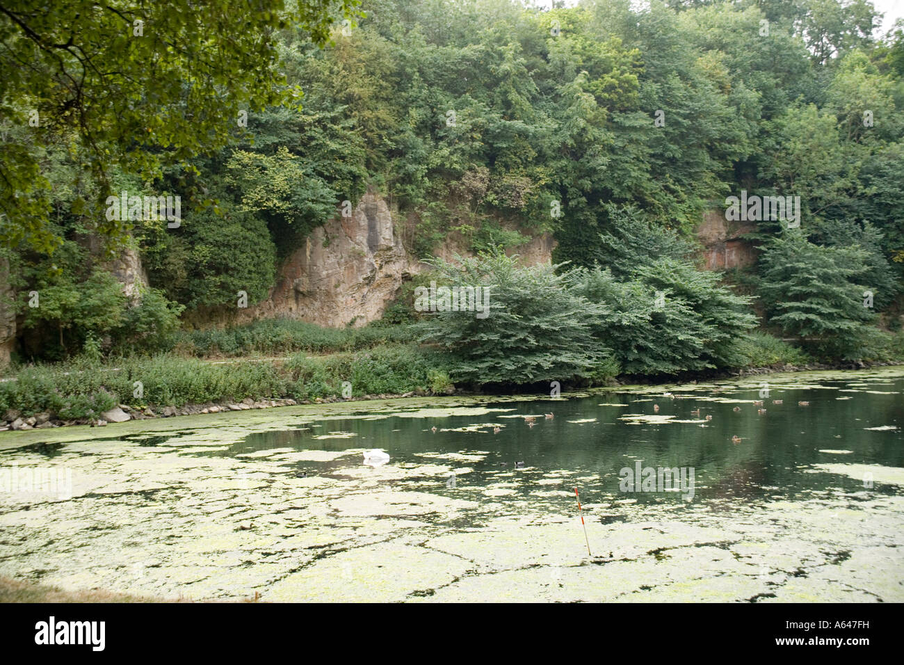 Creswell crags, Derbyshire, England Stock Photo Alamy