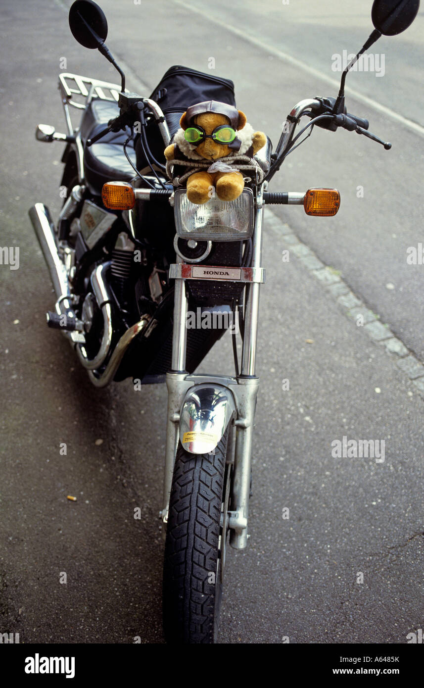 bear on a motorcycle