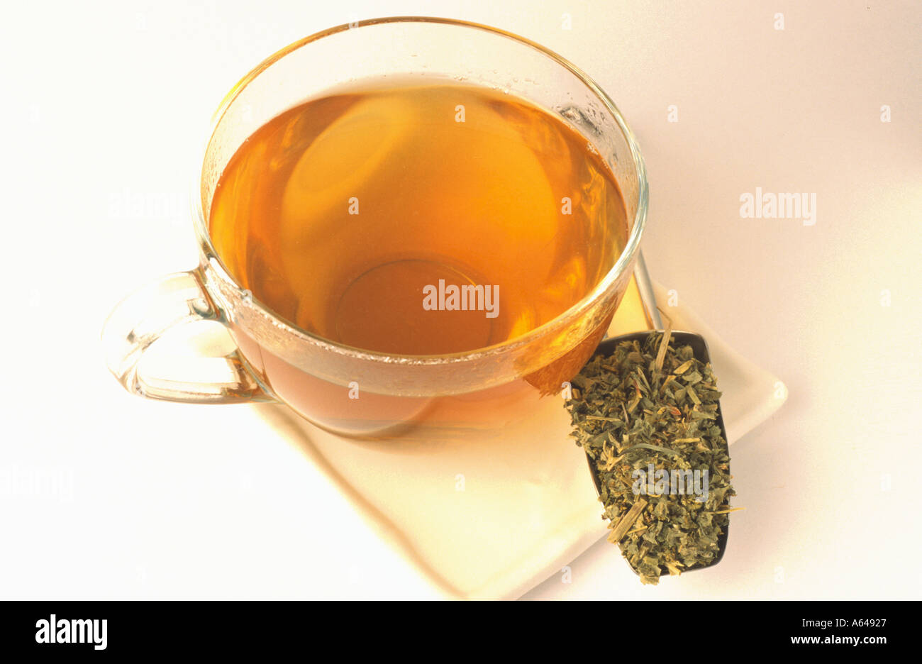 Silbermantelkrauttee Alchemilla alpina Tea Alpine Lady s Mantle Tea Stock Photo