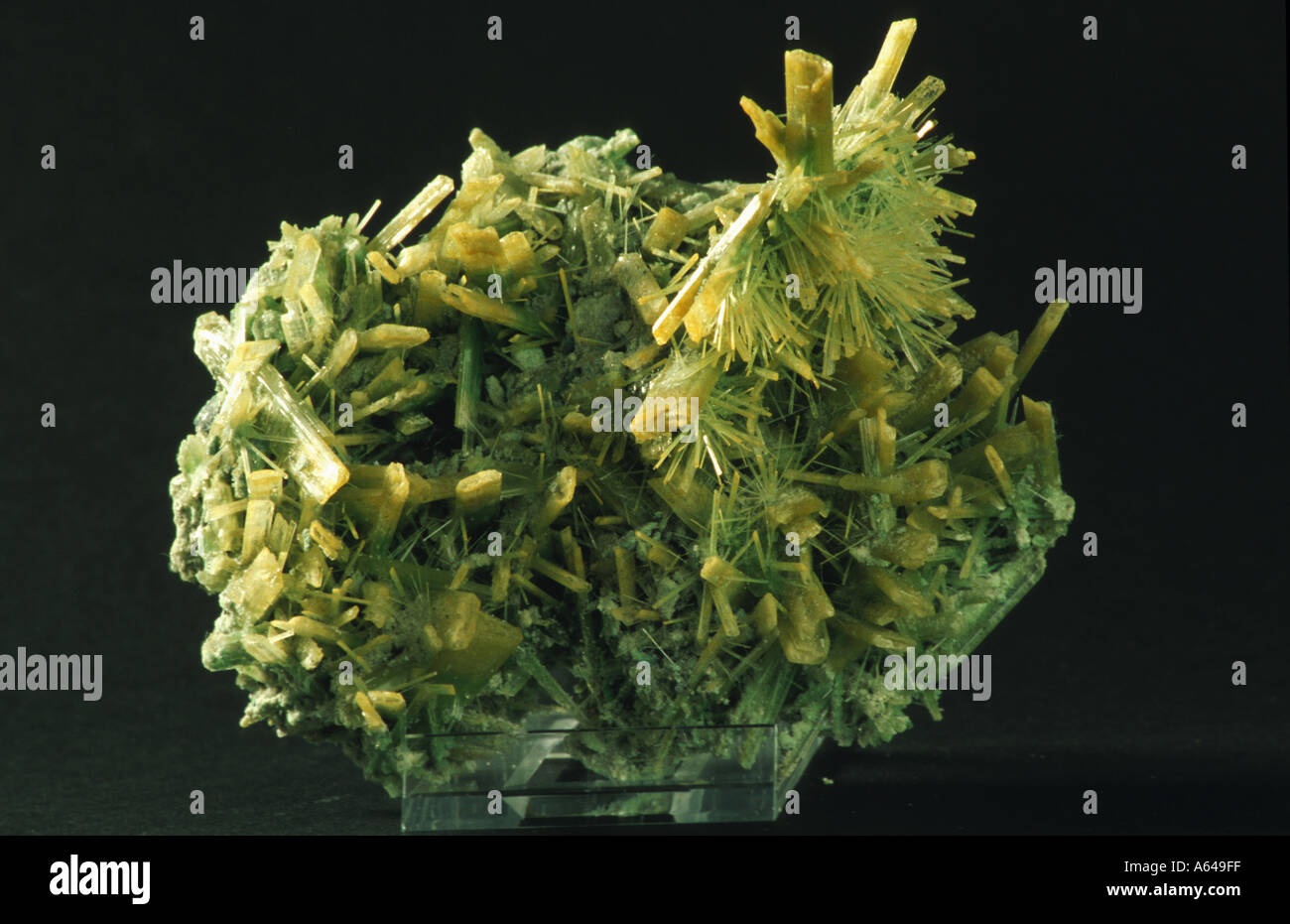 Selenite Selenit from Poland Stock Photo: 412159 - Alamy