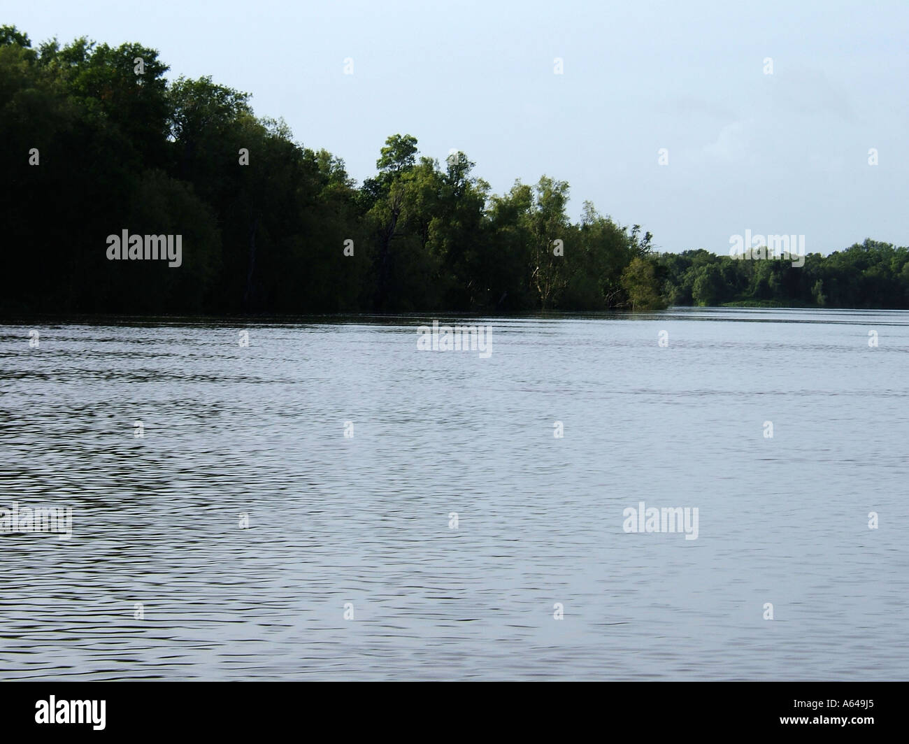 Crocodile Cruise Adelaide River Kakadu National Park Northern Territory