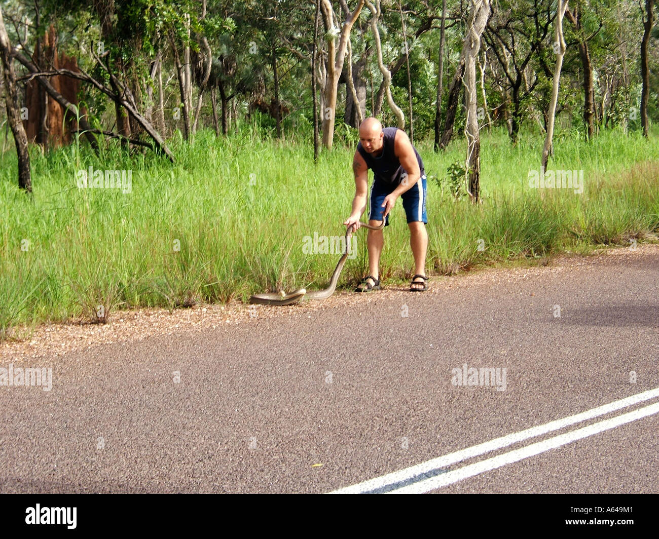 Snake guide  Kakadu National Park Northern Territory Australia Stock Photo