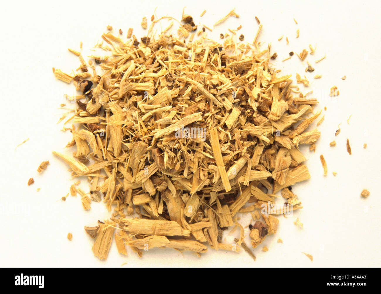 Taiga Root Powder Taigawurzel Eleutherococcus senticosus Acanthopanax senticosus ...
