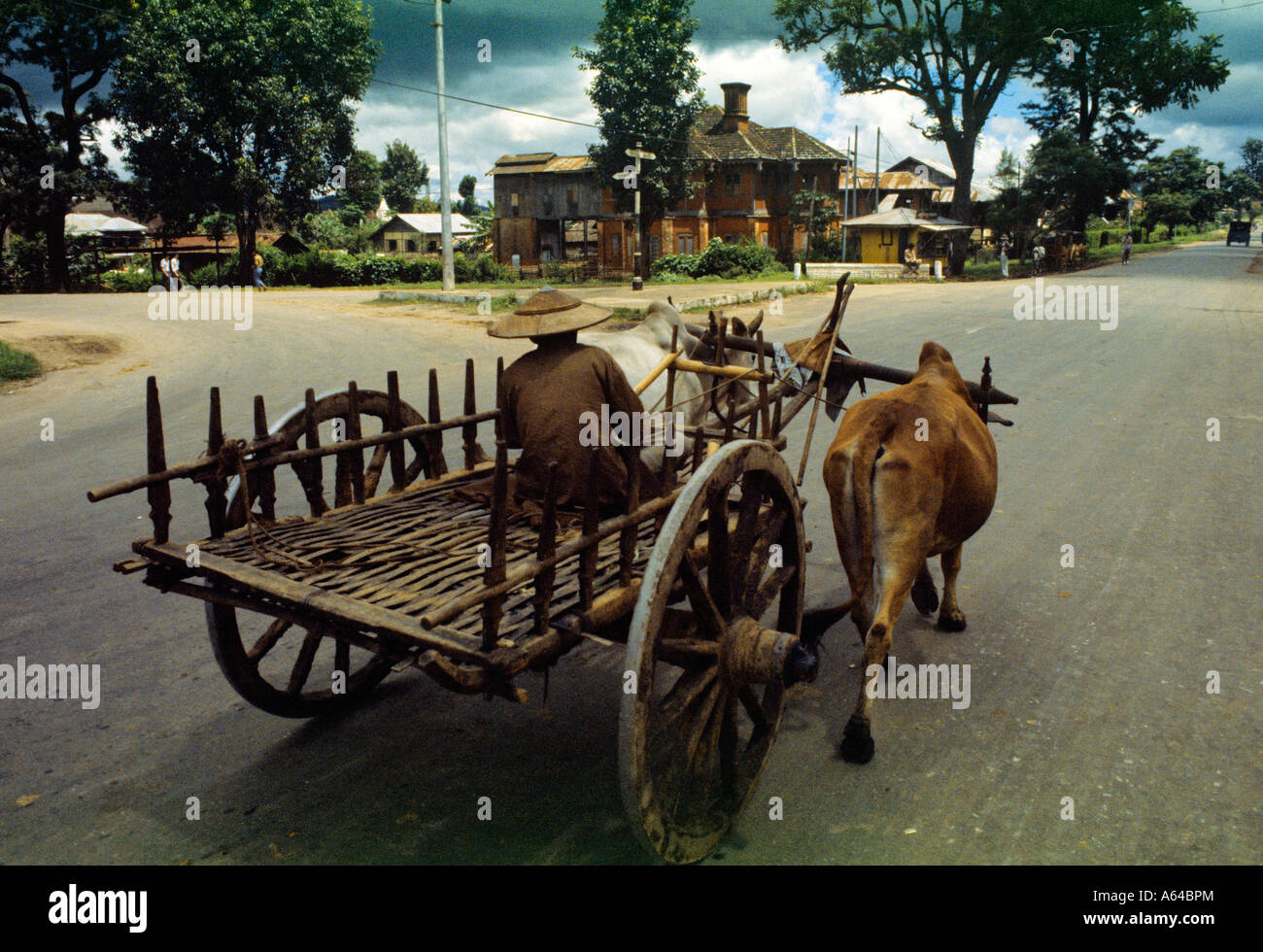 oxen carriage village of pyin oo lwin formerly maymyo myanmar Stock Photo