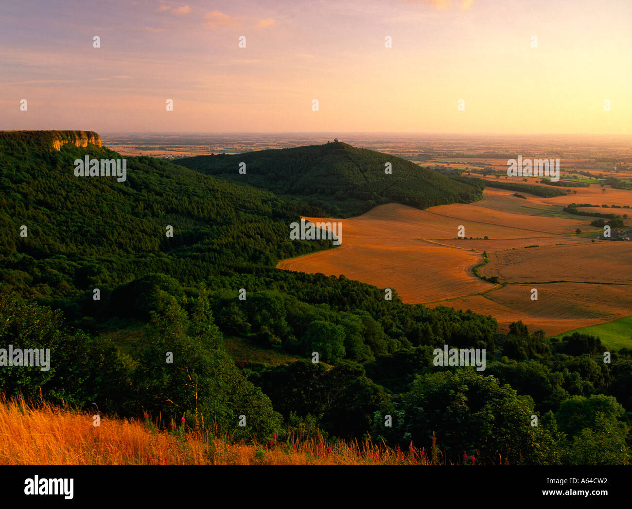 Roulston scar and Hood hill from Sutton Bank in the North Yorkshire