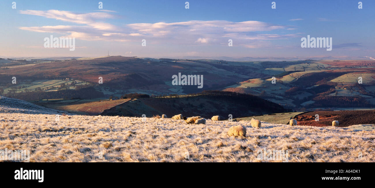 Frosty morning on Bole hill in the Peak district Derbyshire Stock Photo