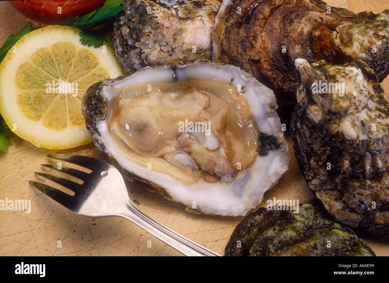 Chesapeake bay oyster hi-res stock photography and images - Alamy