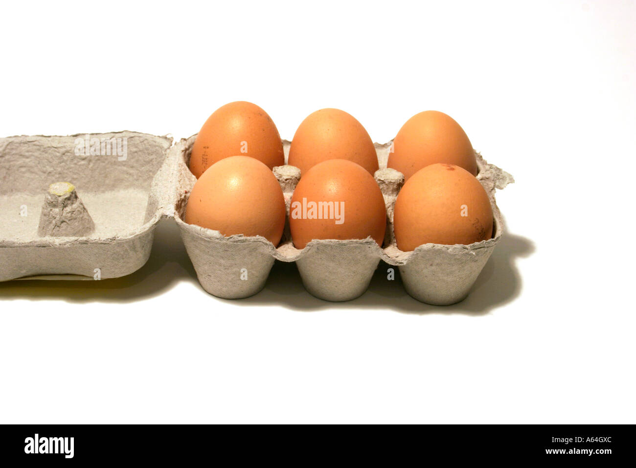 six free range organically grown eggs in a recyclable cardboard egg