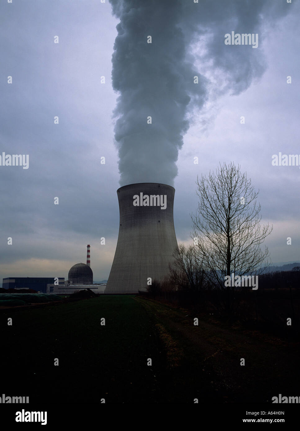 nuclear power plant of leibstadt at