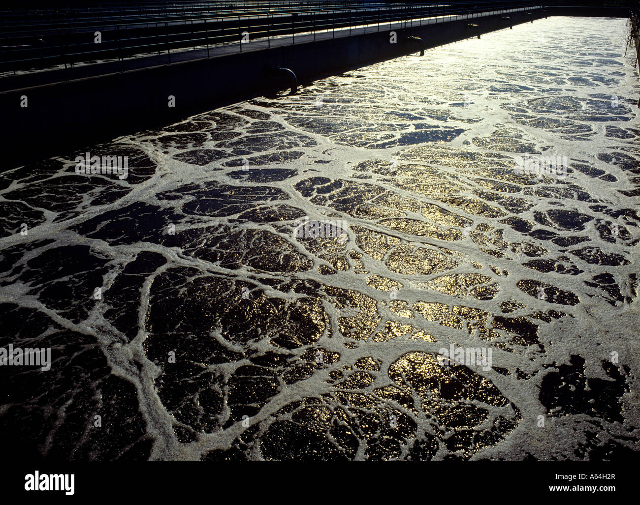 secondary aeration tank activated sludge at waste water treatment and purification plant Stock Photo