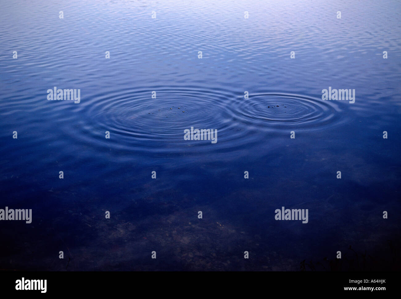 rippled water after splashing stones Stock Photo - Alamy