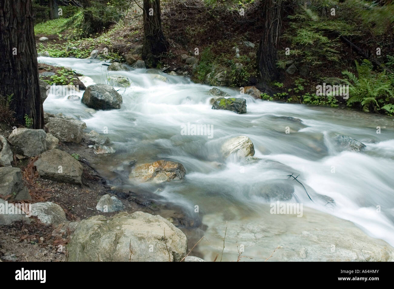 Water Flowing Over Rocks and Tree Roots Stock Photo - Alamy