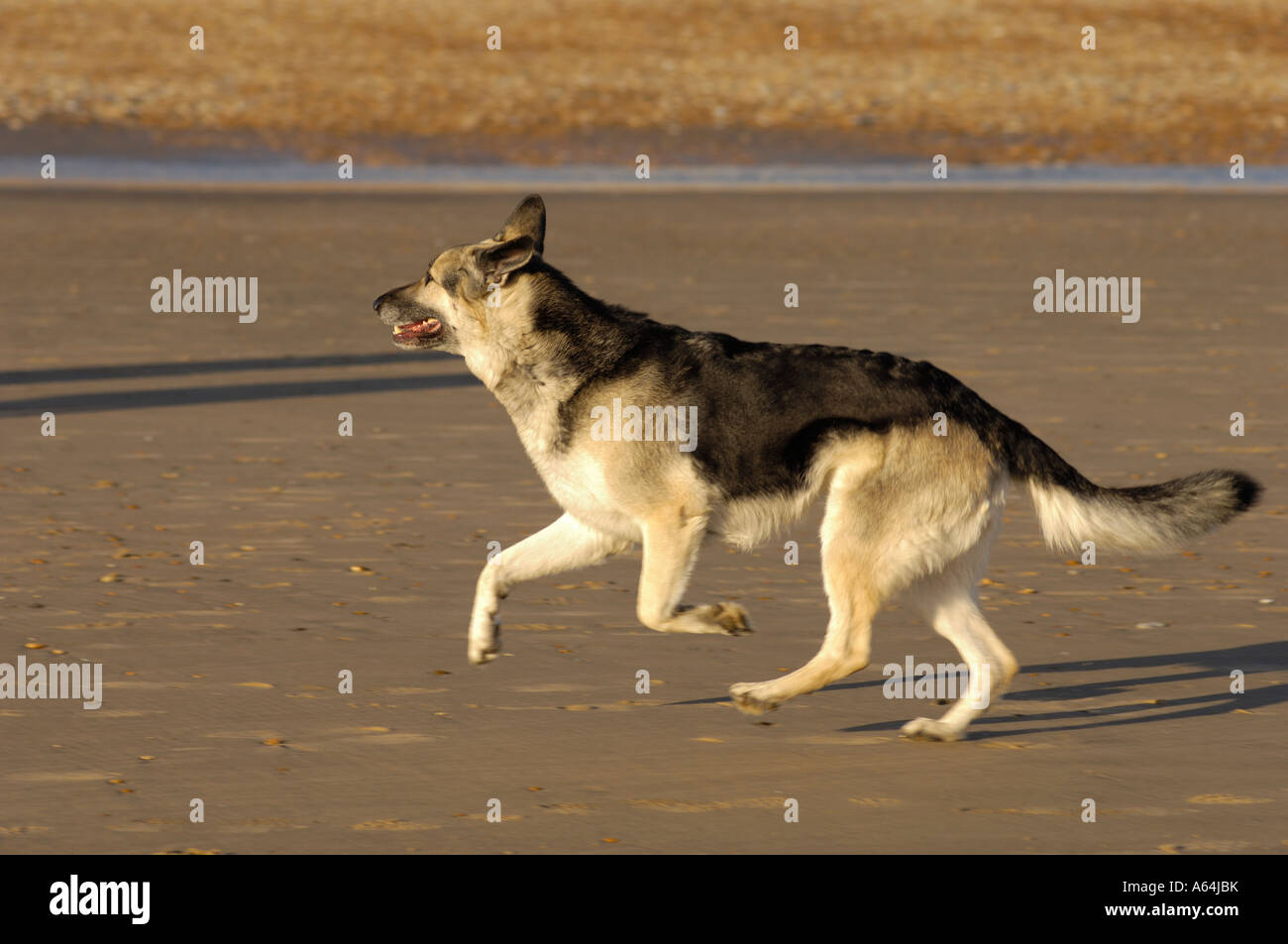 Rye beach camber sands hi-res stock photography and images - Alamy
