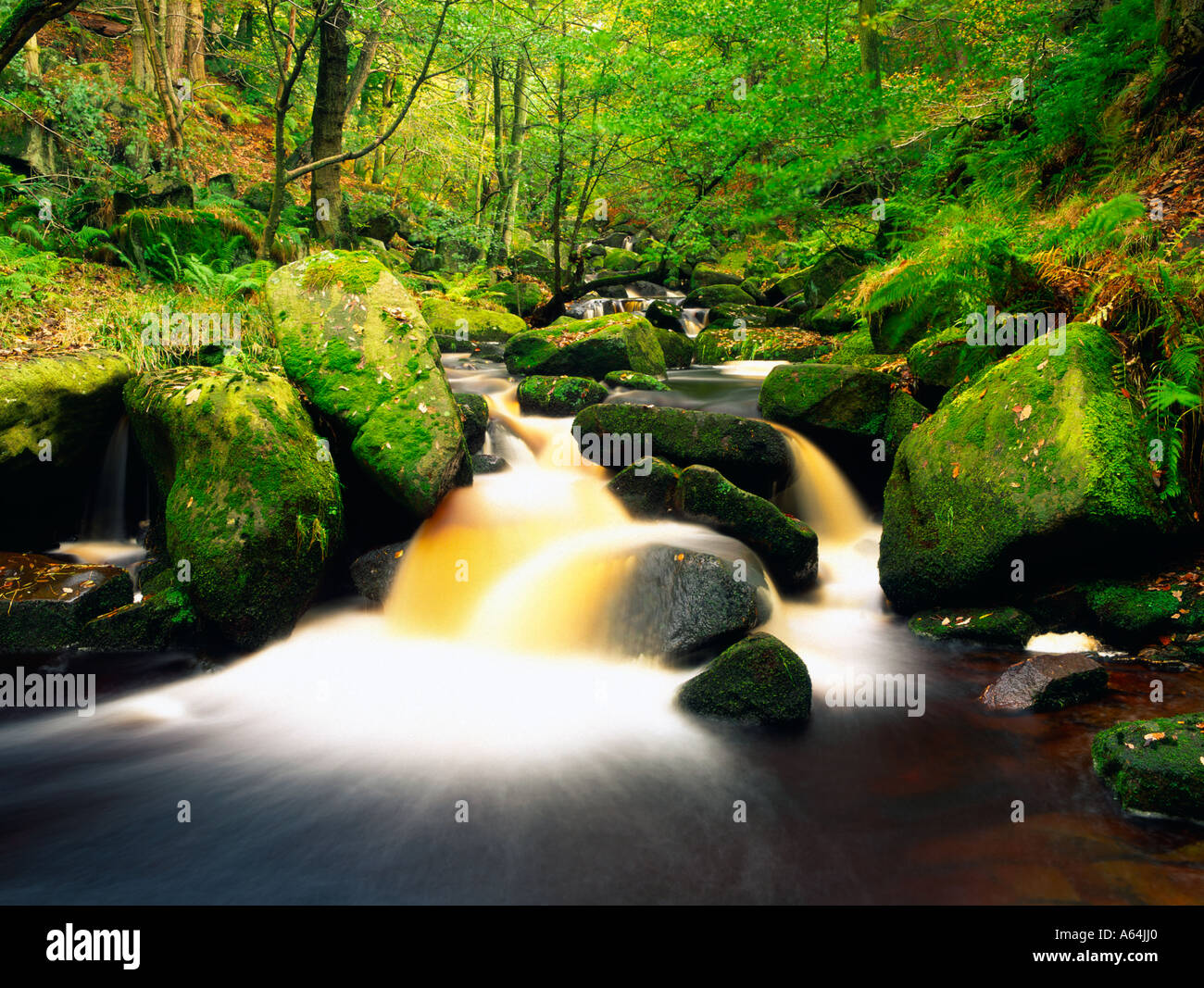 Burbage Brook in Padley Gorge on the Longshaw Estate in the Peak District Derbyshire Stock Photo