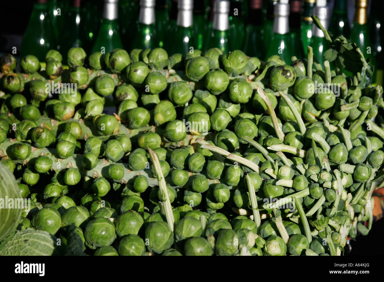 Brussel Spouts still on their stalks, forsale on a stall in farmer's market in North West London Stock Photo