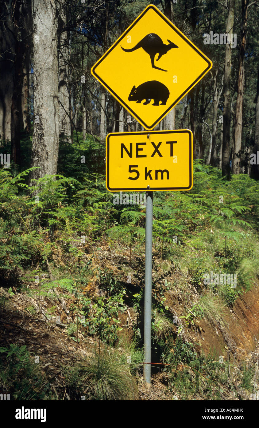 Warnings sign for kangaroo and wombat, Victoria, Australia Stock Photo