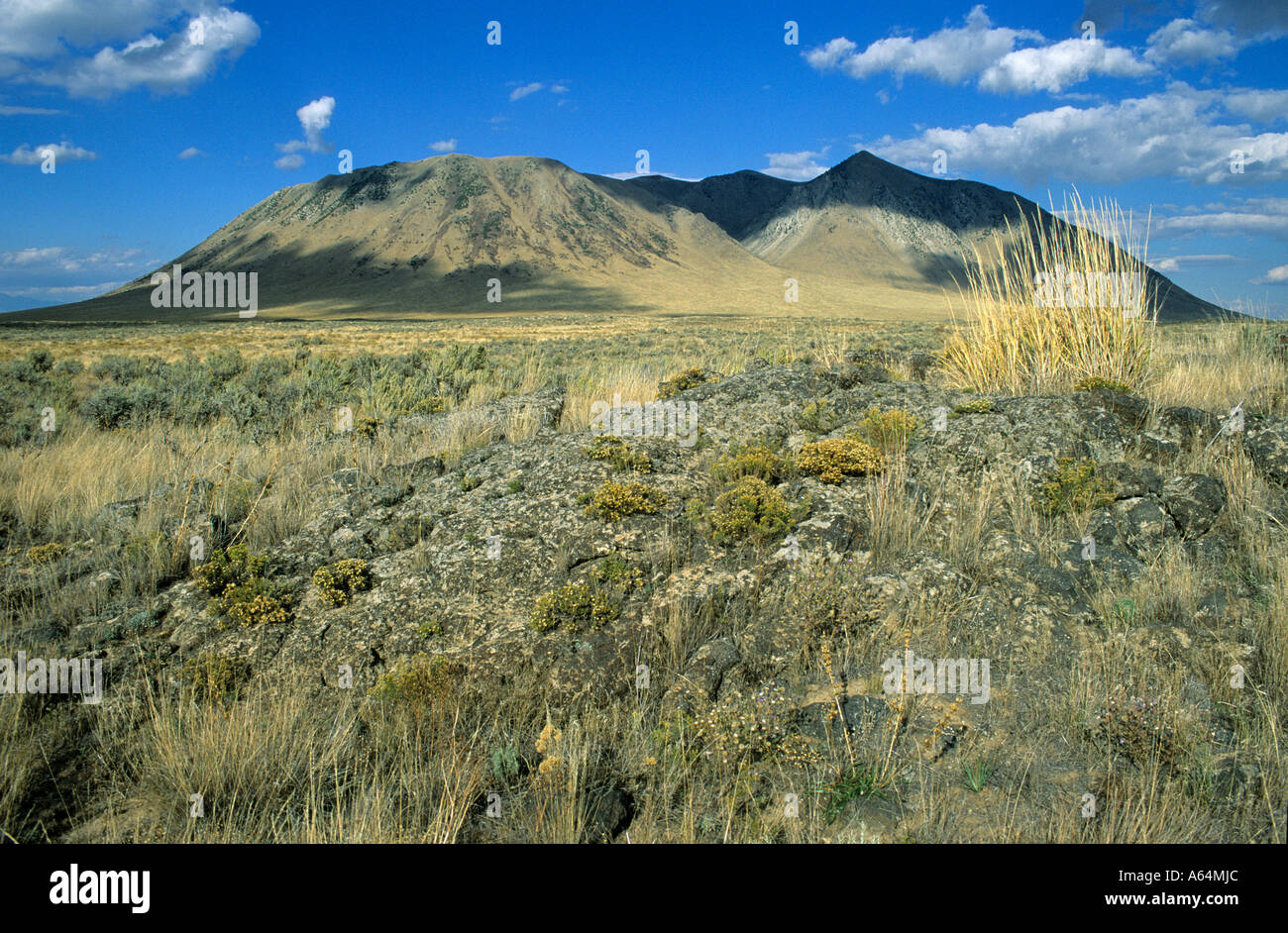 Big Southern Butte volcanoe, Oregon Trail, Idaho, USA Stock Photo Alamy