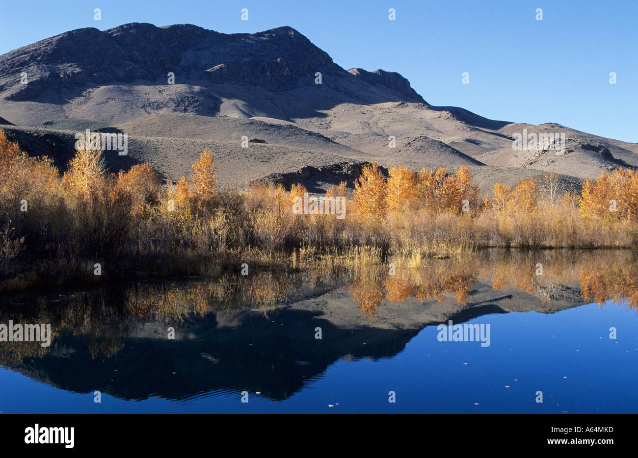 Salmon River near Challis, Lewis & Clark Trail, Idaho, USA Stock Photo