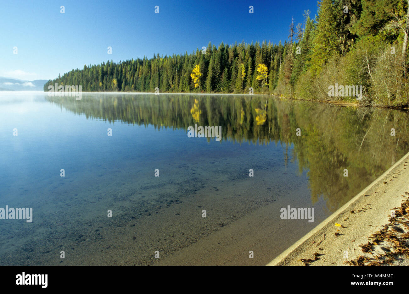 Beach at Priest Lake, Idaho, USA Stock Photo Alamy
