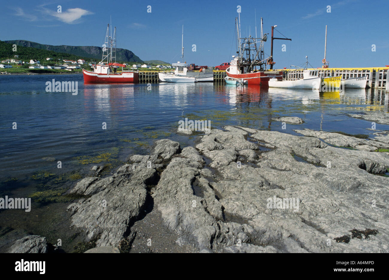 Fishing Harbour Of Rocky Point Near Gros Morne National Park Stock