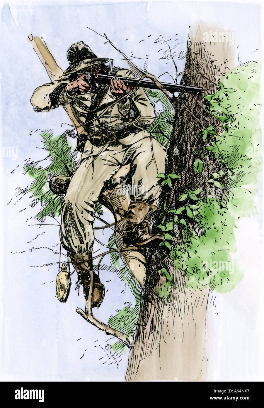 Confederate sharpshooter taking aim from his perch in a tree during the American Civil War. Hand-colored woodcut Stock Photo