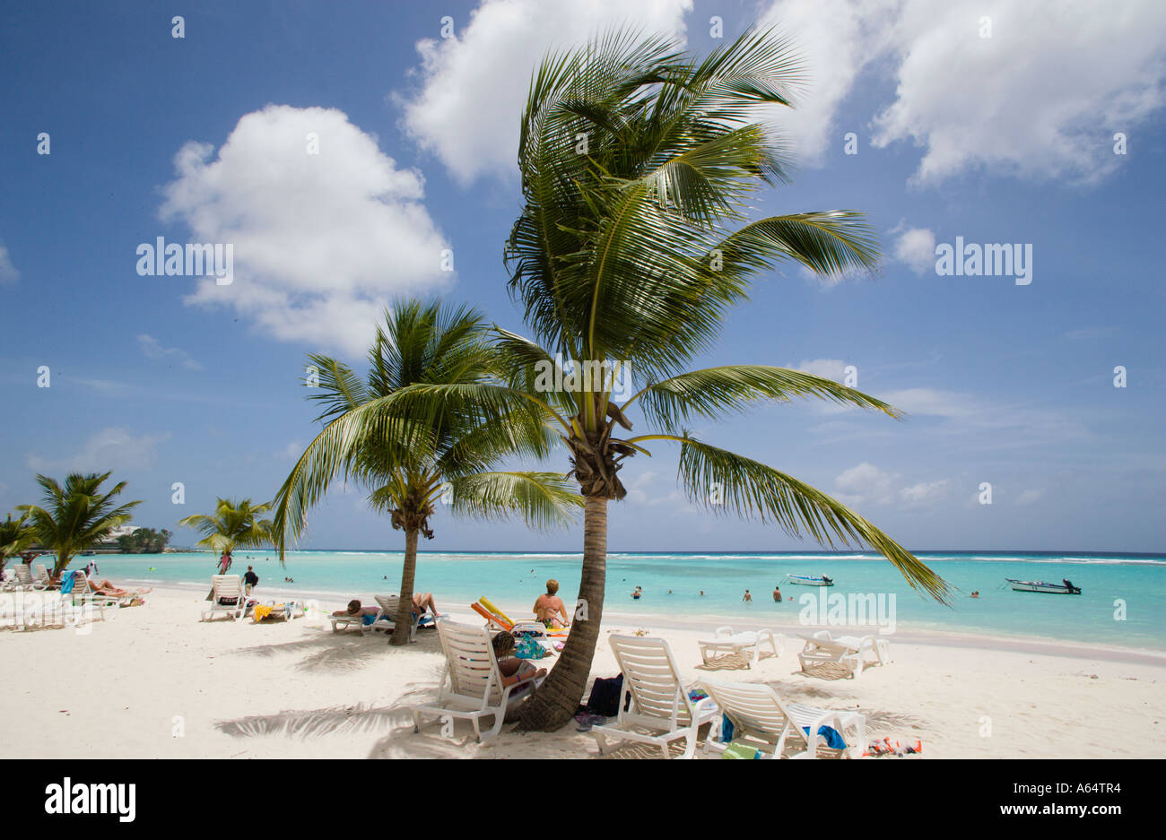 WEST INDIES Caribbean Barbados Christchurch Parish Worthing Beach Tourists under coconut palm trees and sunbathing or in sea. Stock Photo
