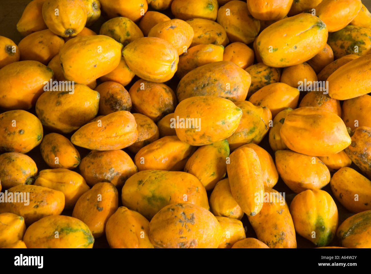 Papaya fruit in a market Stock Photo Alamy