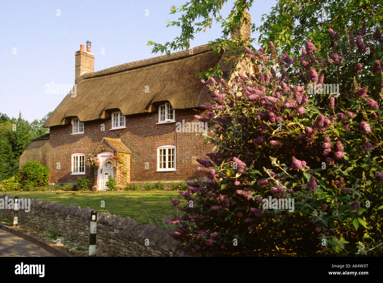 Uk Dorset West Stafford Village Idyllic Thatched Country Cottage
