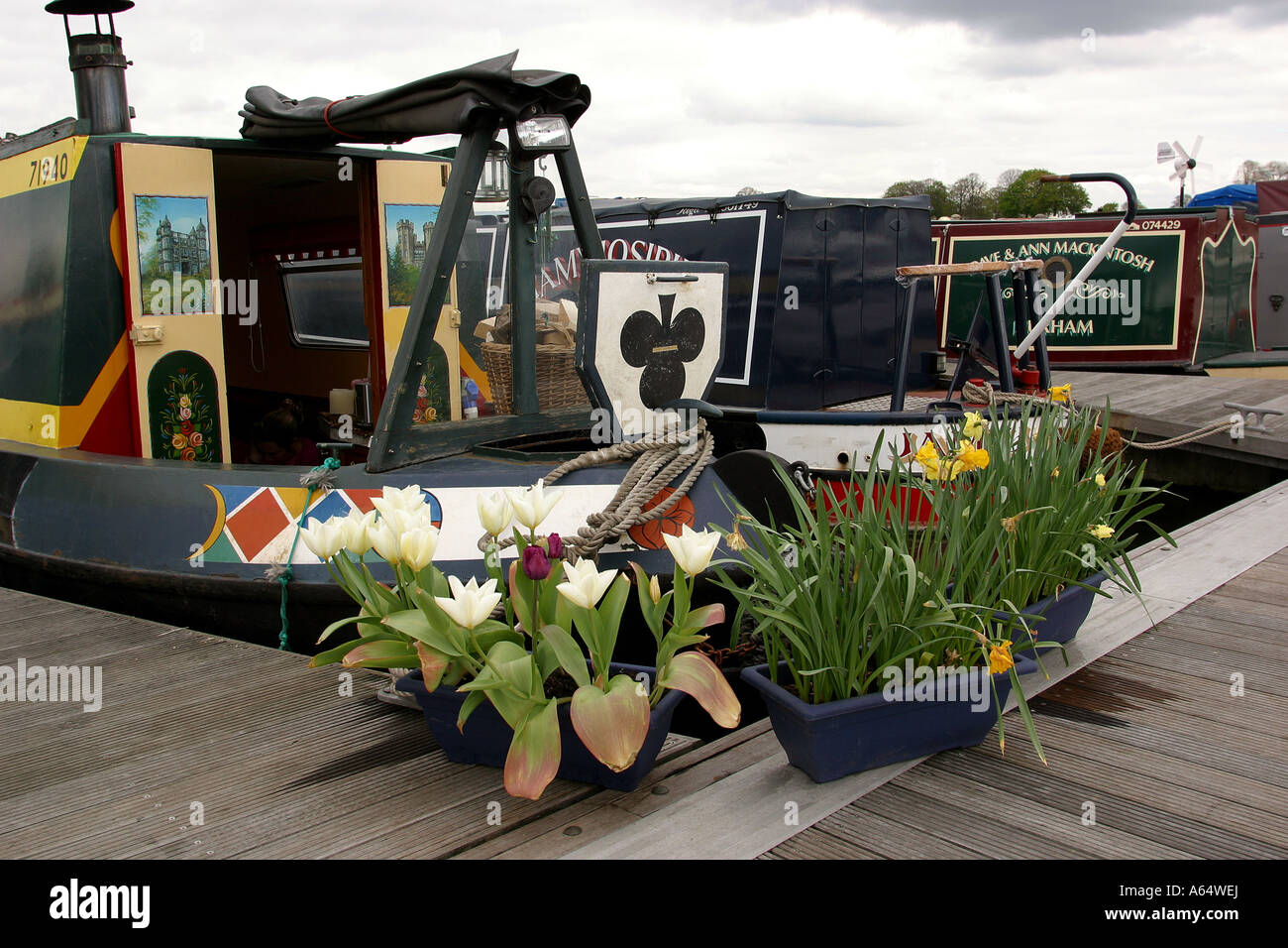 UK Yorkshire Ripon Canal Basin spring flowers planted in containers at ...
