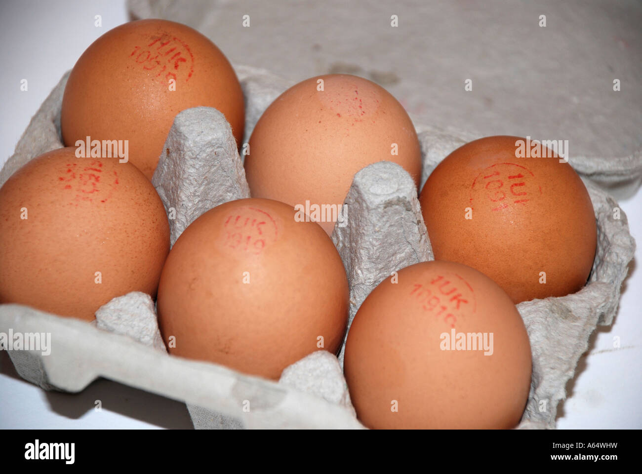 Half a dozen eggs Stock Photo Alamy
