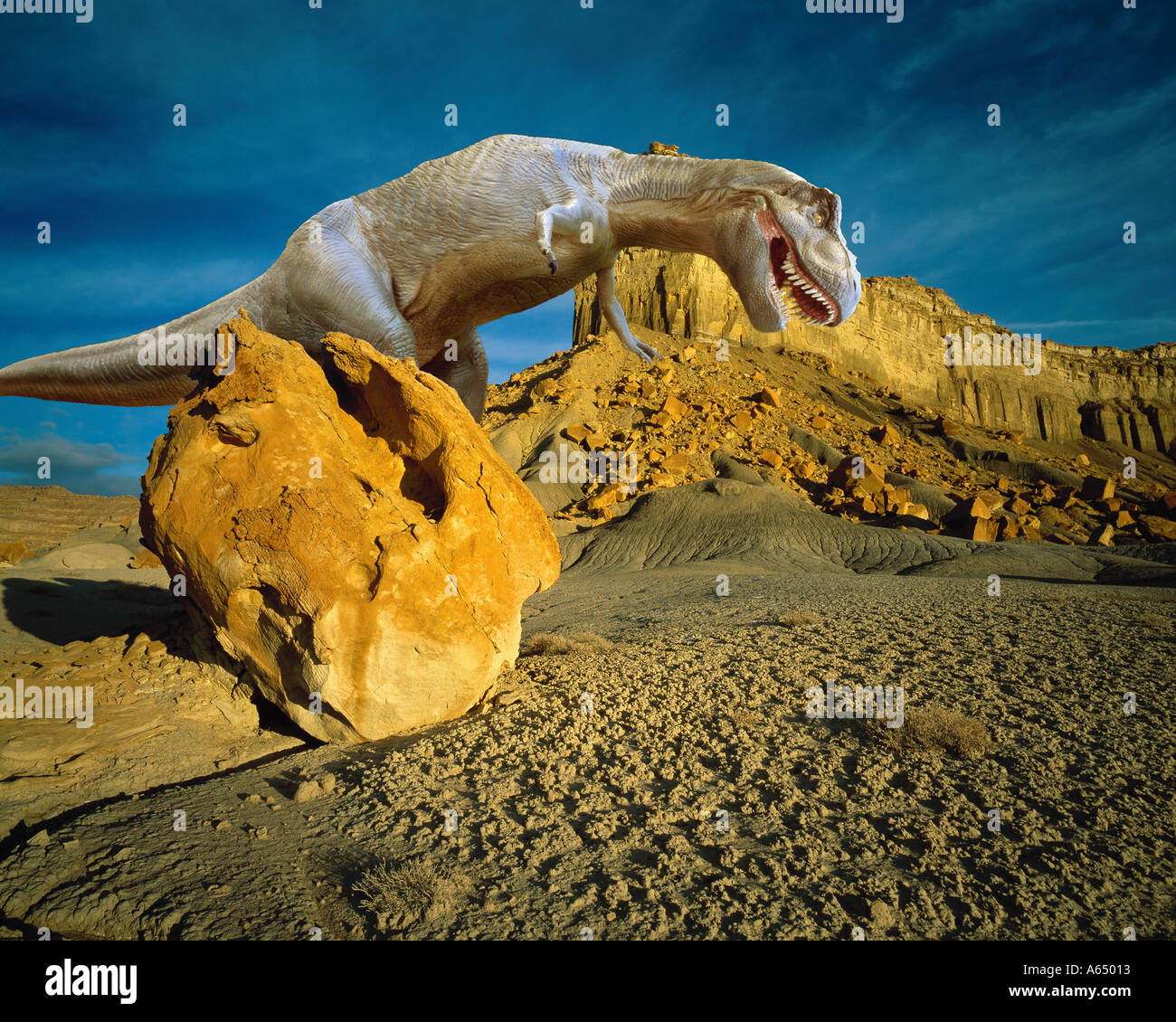 Tyranosaurus rex model placed into a desert landscape Stock Photo
