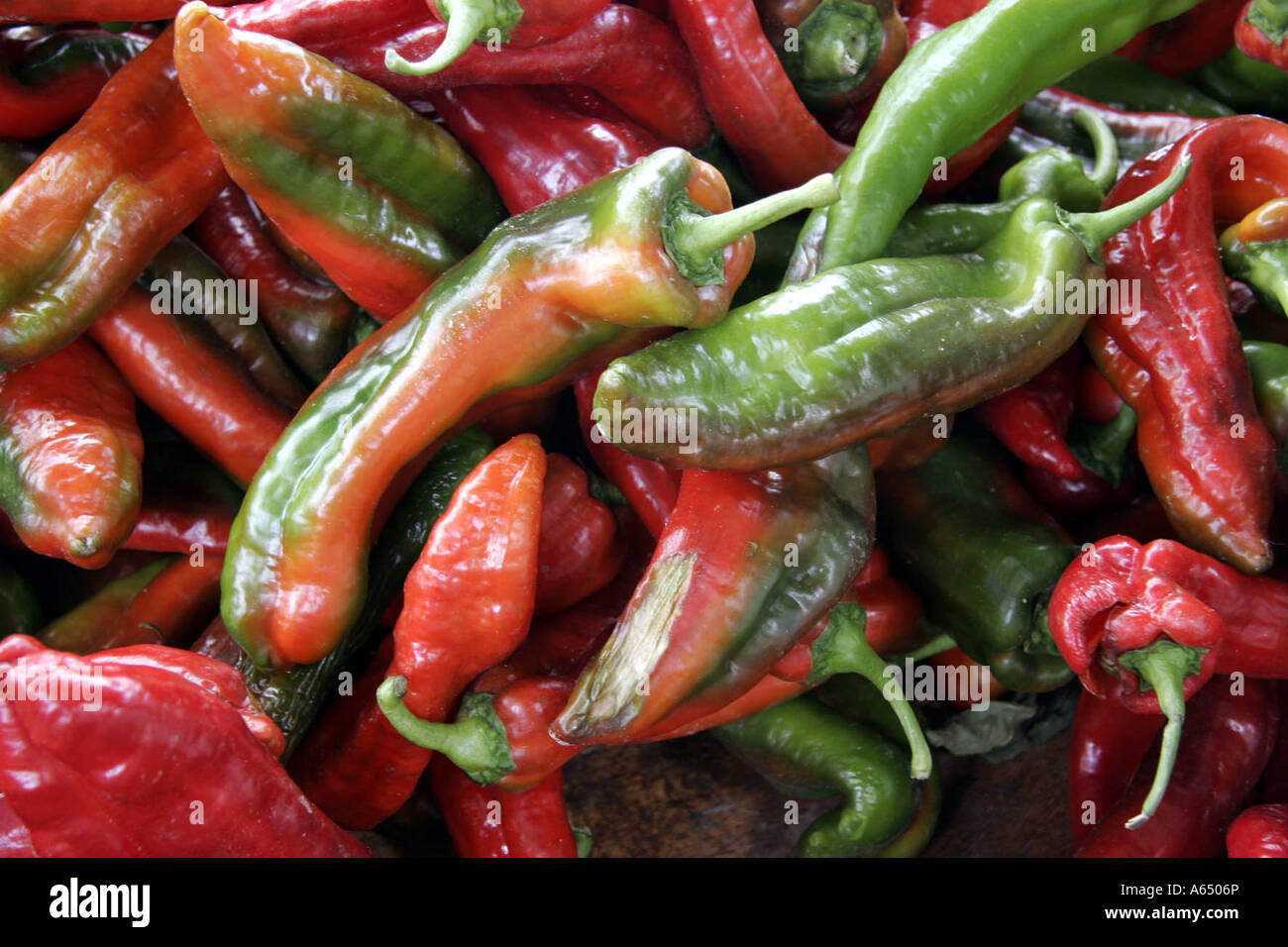 Red and green peppers on a market stall Stock Photo - Alamy