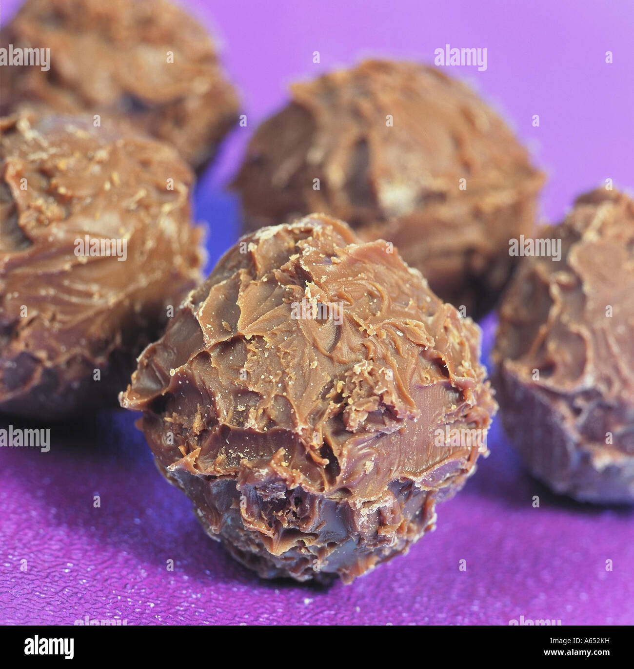 Handmade chocolate truffles Stock Photo Alamy