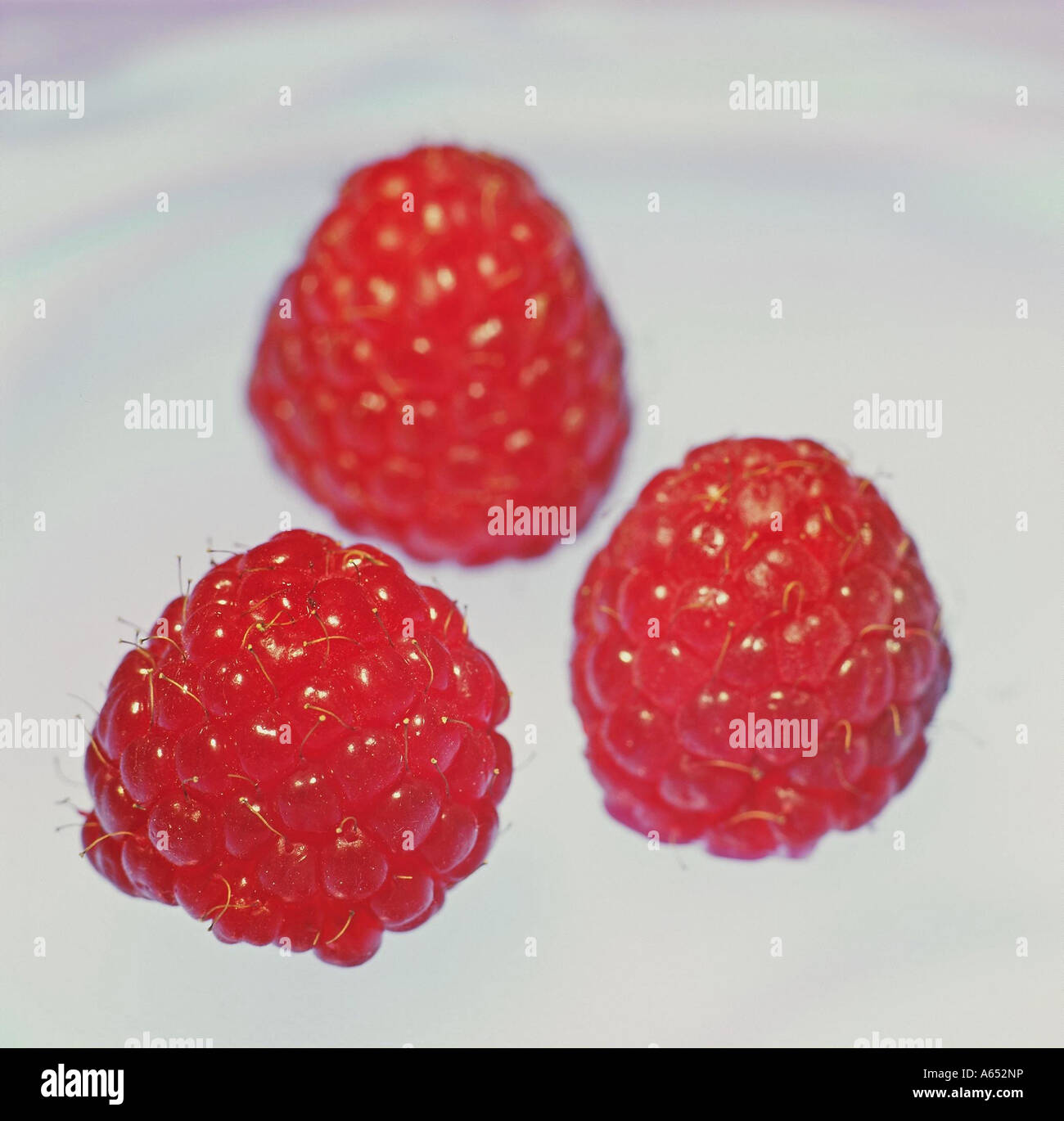 Three fresh raspberries Stock Photo - Alamy