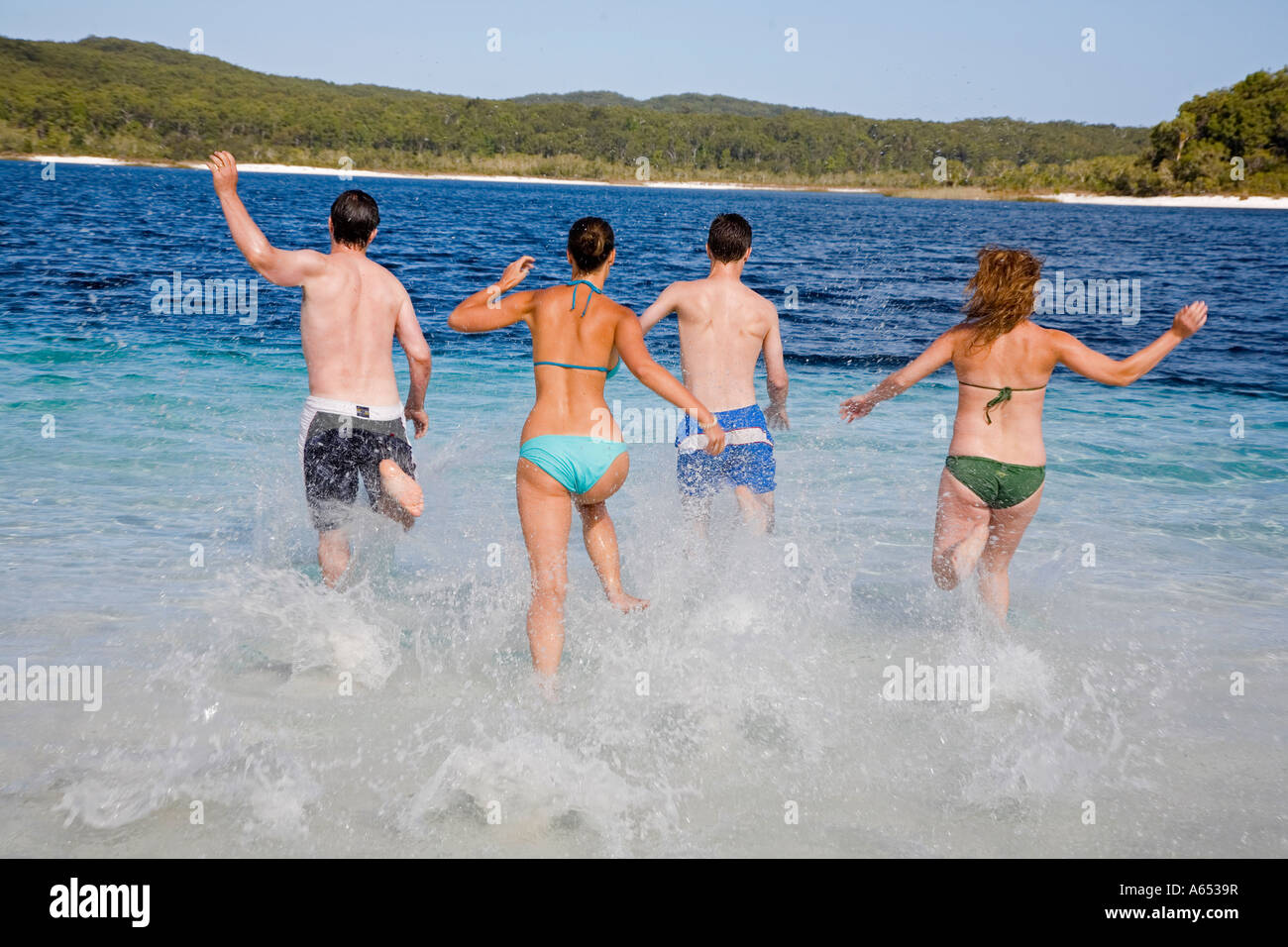 A group dive in to the clear waters of Lake McKenzie on Fraser Island Ringed by a white sand beach Stock Photo