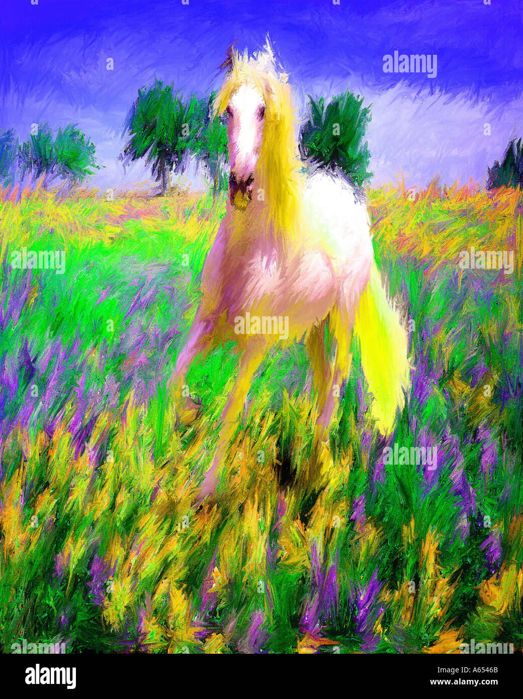 Horse in field of flowers Stock Photo