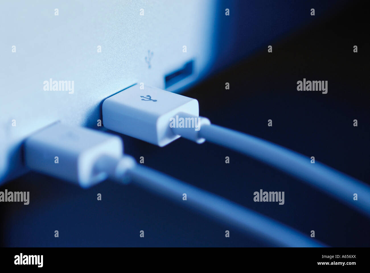 USB AND FIREWIRE CONNECTIONS Stock Photo Alamy